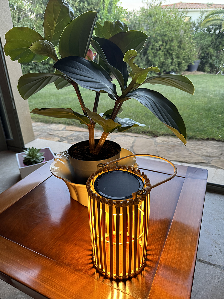 Lampe de table en bamboo